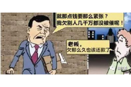 紫云企业清欠服务